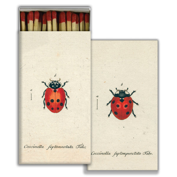 Matches -Little Lady Bug & Red Lady Bug - Red