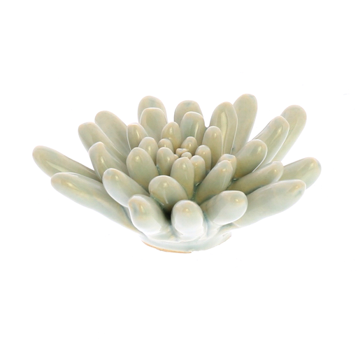 Ceramic Succulent - Soft Blue