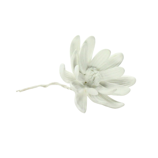 Bone China Curled Magnolia Flower White