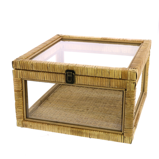 Cayman Rattan and Glass Case