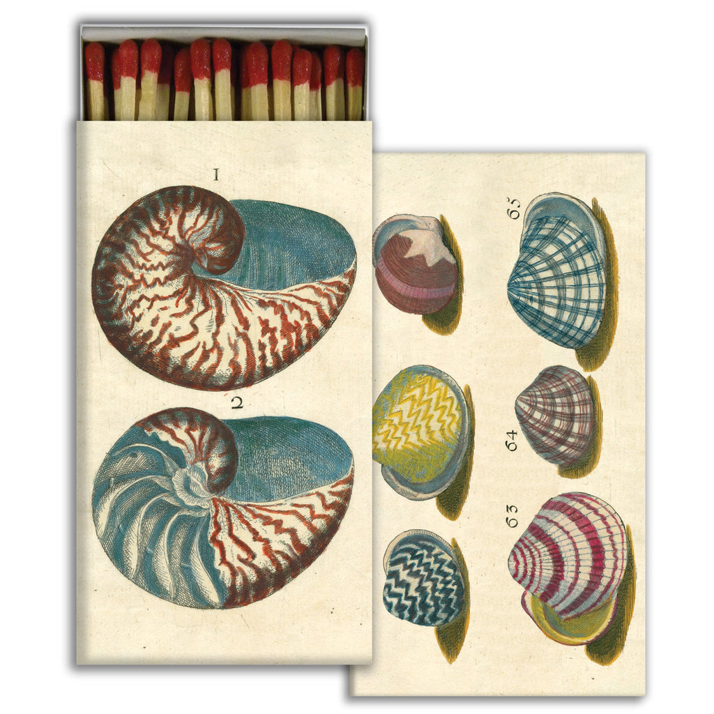 Shell Match HomArt Matches - 18th Century Shells– AREO
