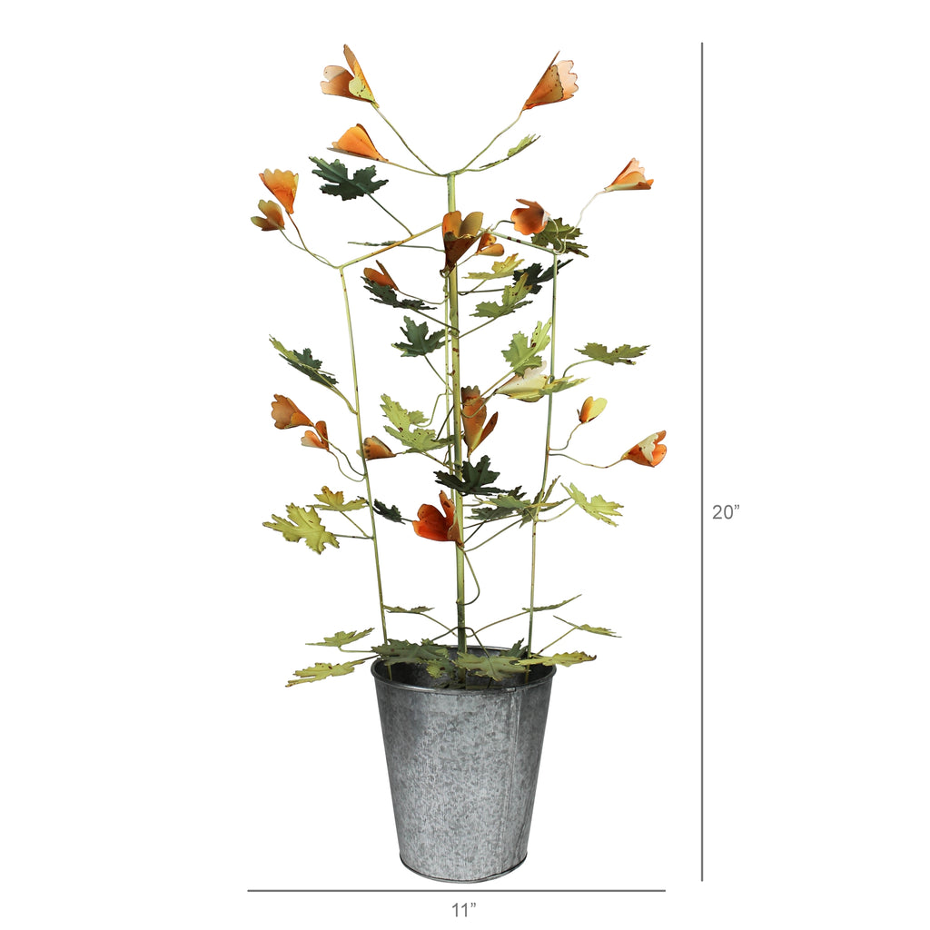 potted plant vines Pot with Green Vines