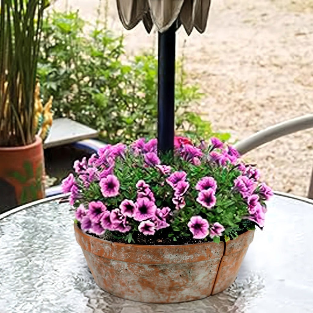 umbrella plant pots HomArt Cat Cachepot Small– AREOhome
