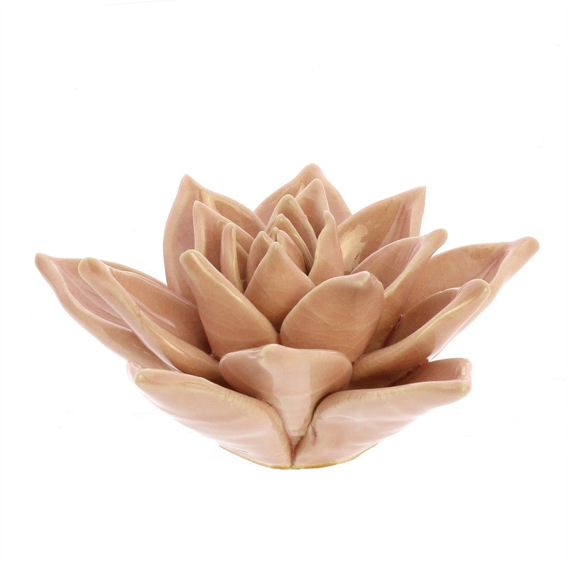 Ceramic Succulent - Blush