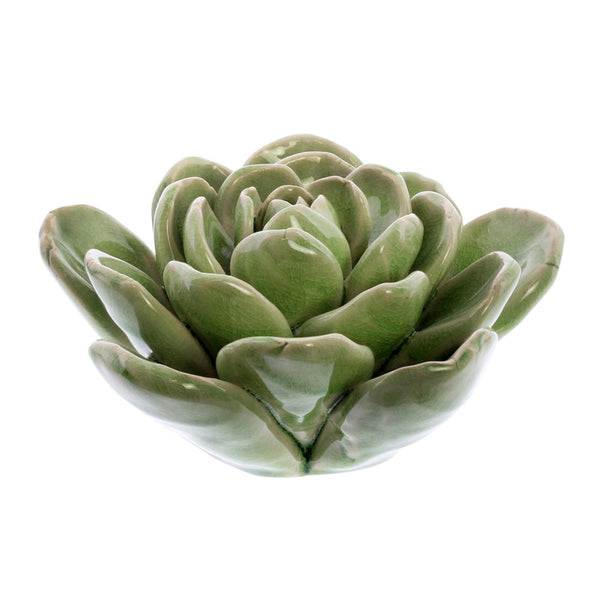 Ceramic Succulent Green - Lrg