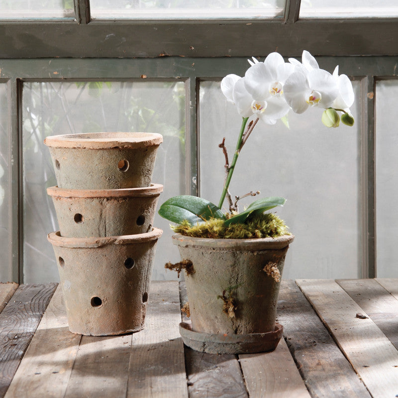 HomArt Rustic Terra Cotta Orchid Pot Antique Red– AREOhome