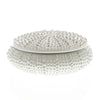 Urchin Ceramic Box White-Lrg