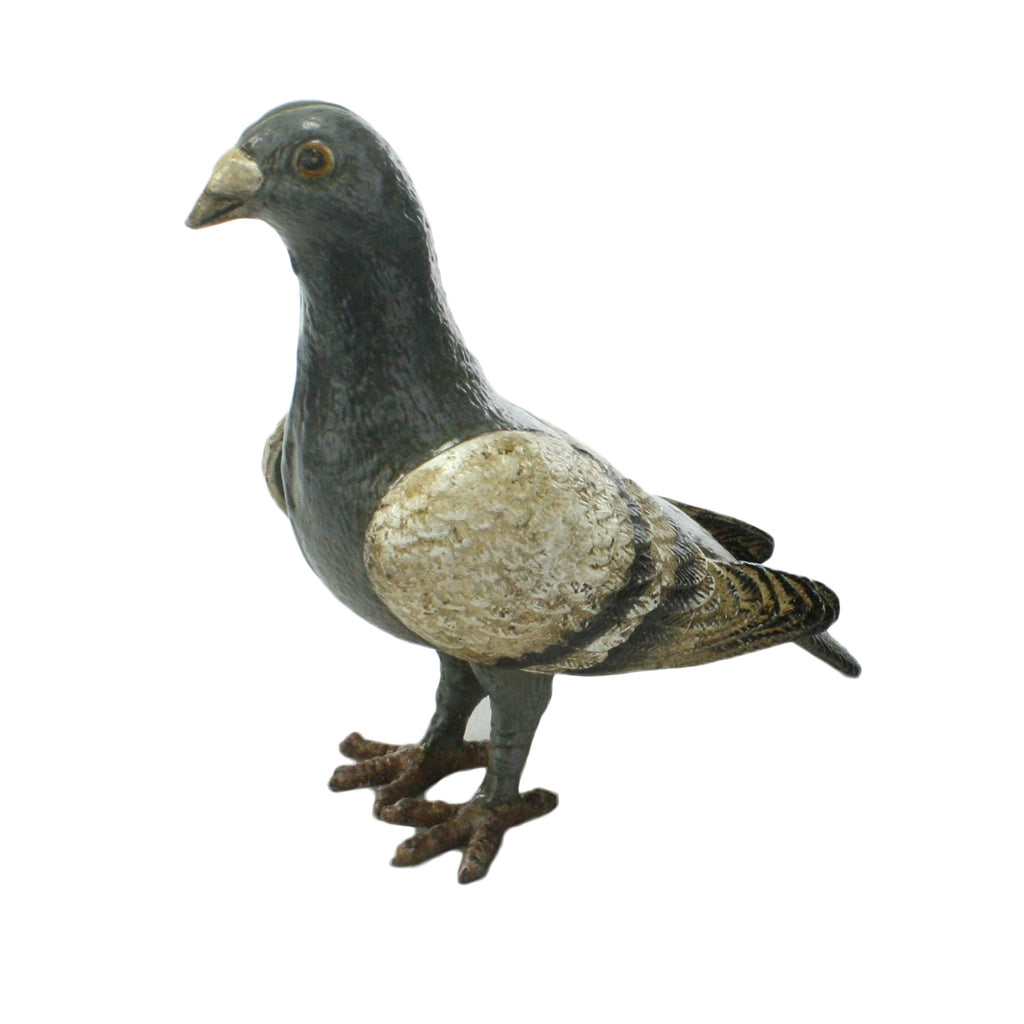 Pigeon - Cast Iron Grey