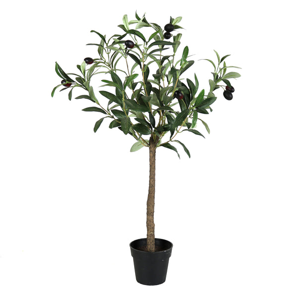 Olive Tree, Faux