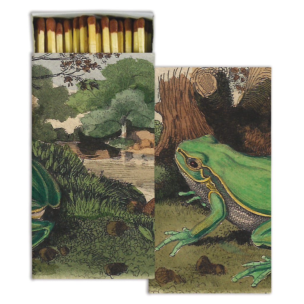 Landscape with Frog HomArt Matches