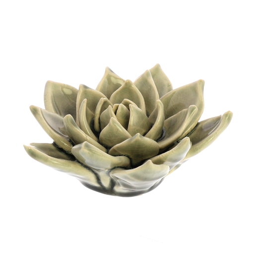 Ceramic Succulent - Grey