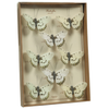 Butterfly Specimen Box White-Brown