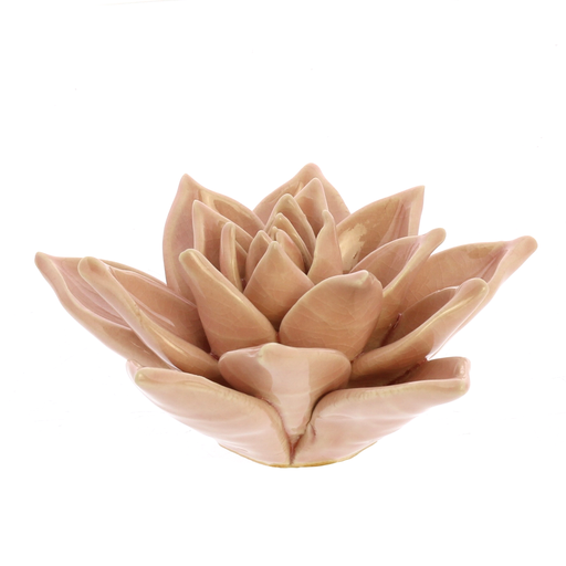 Ceramic Succulent - Blush