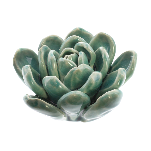 Ceramic Succulent - Med