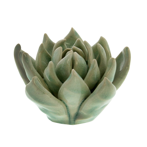 Ceramic Succulent - Sm