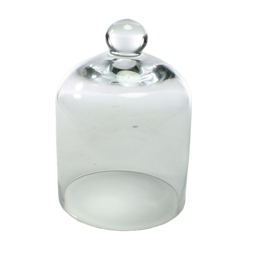 Glass Dome - Mini Clear