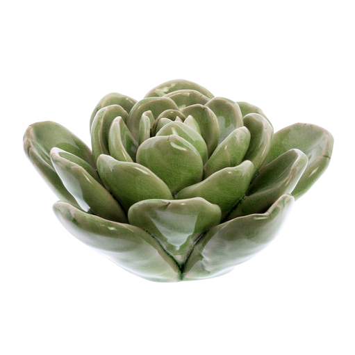 Ceramic Succulent Green - Lrg