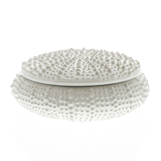 Urchin Ceramic Box White-Lrg