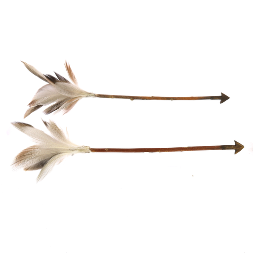 Arrows, Feather - Box of 6, Assorted